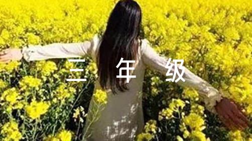 如何在有限时间内最大化篮球训练效果的策略_2